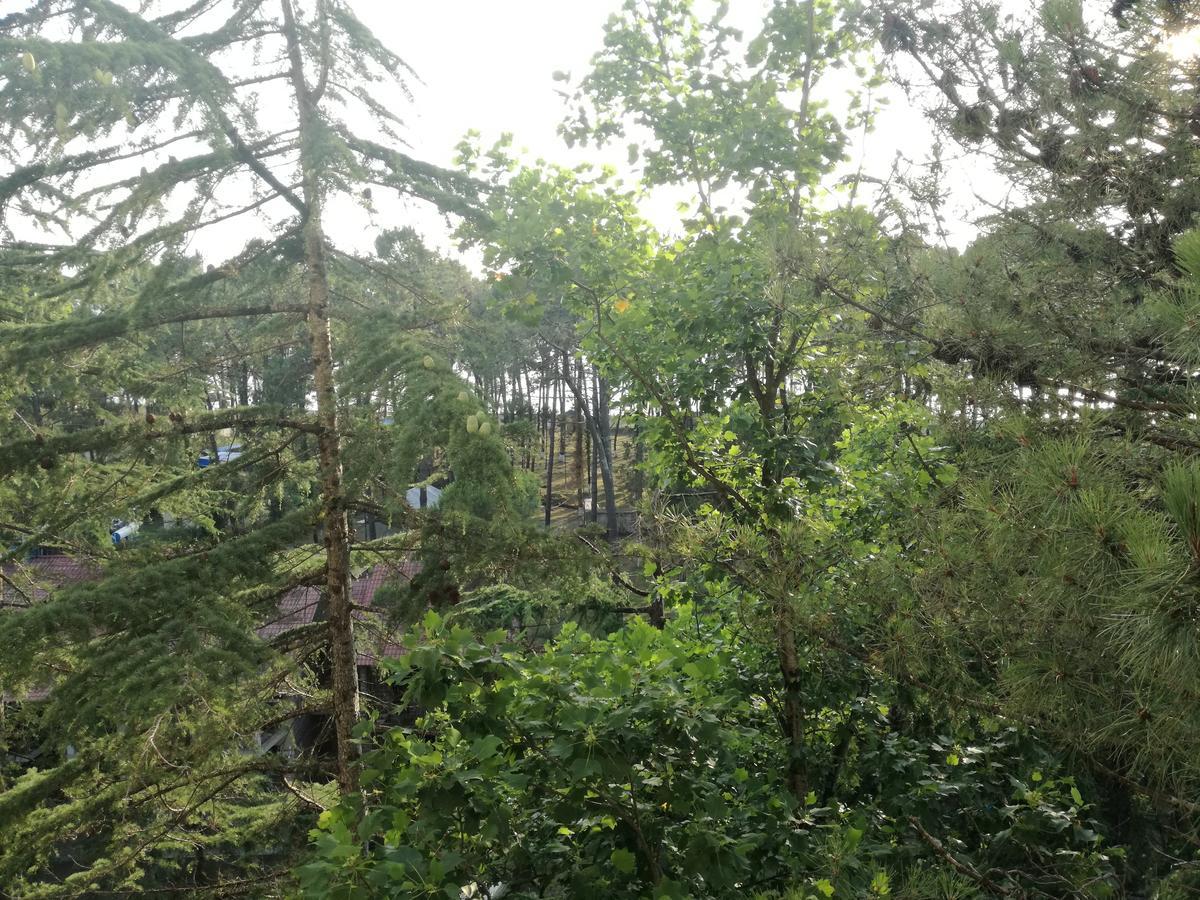 Studio Apartment With Great View Ureki Bagian luar foto