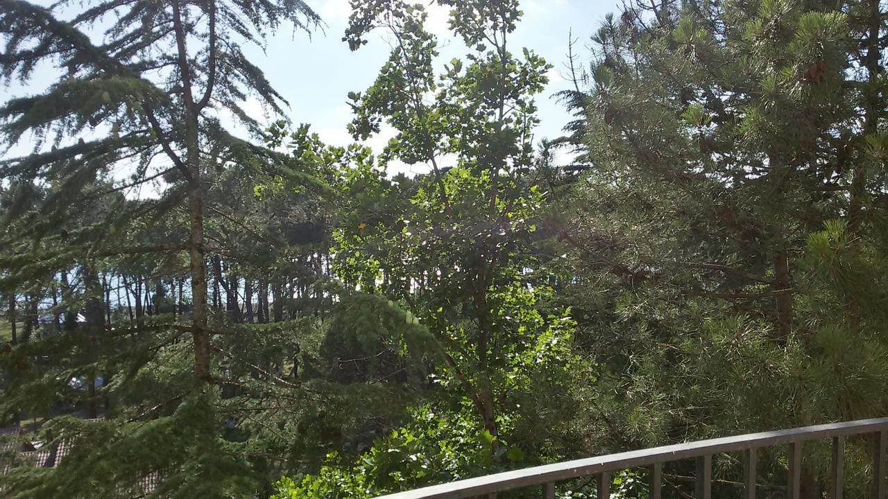 Studio Apartment With Great View Ureki Bagian luar foto